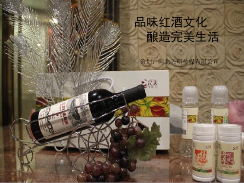 “品味红酒文化酿造完美生活”