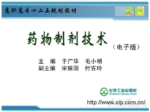 药物制剂技术(于广华)2-1模块二液体药剂 专题一 溶液型液体制剂技术