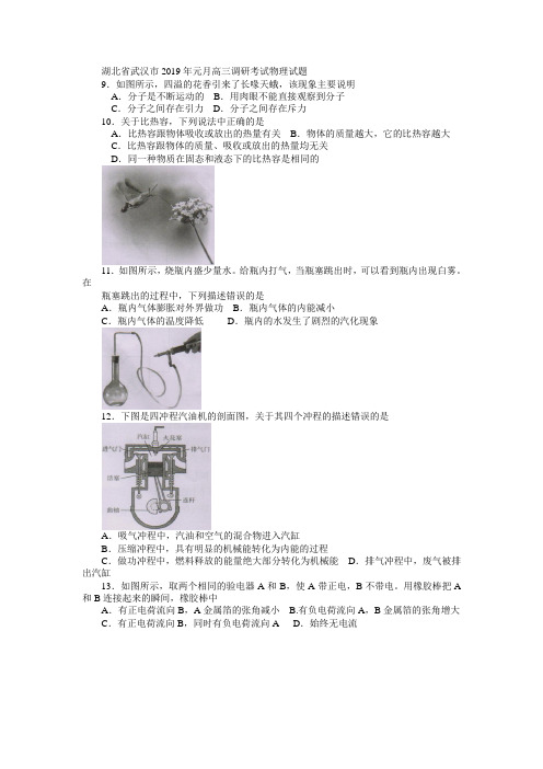 湖北省武汉市2019年元月高三调研考试物理试题及答案