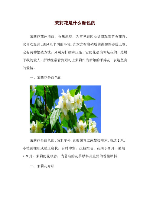 茉莉花是什么颜色的