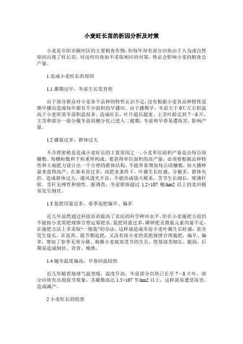 小麦旺长苗的析因分析及对策