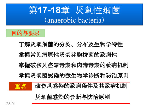 第17-18章厌氧性细菌