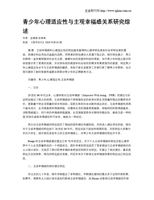 青少年心理适应性与主观幸福感关系研究综述