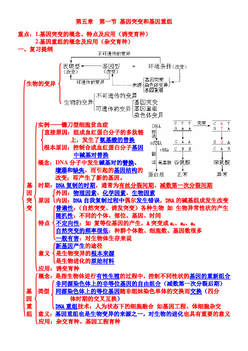 人教版 高中生物必修二第五章复习提纲