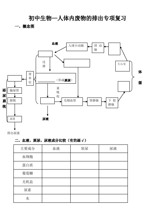 初中生物—人体内废物的排出专项复习