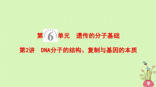 2019版高考生物一轮复习第6单元遗传的分子基础第2讲DNA分子的结构复制与基因的本质课件苏教版