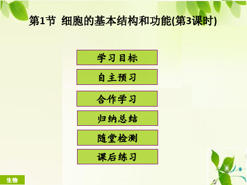 2018版七年级上学期初一生物北师大版全套课件第3章第1节细胞的基本结构和功能(第3课时)