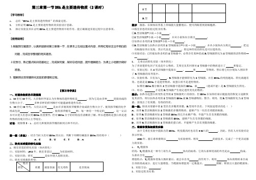 第三章第一节导学案