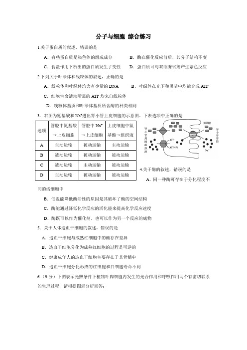 人教版高二生物上册练习：分子与细胞综合练习、遗传与变异(附答案)