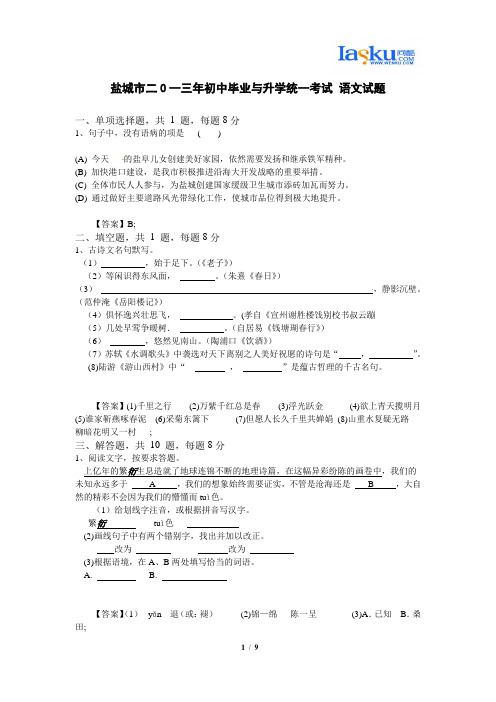 盐城市二0一三年初中毕业与升学统一考试 语文试题