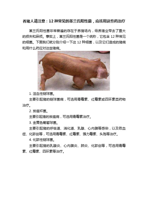 养猪人请注意：12种常见的革兰氏阳性菌，应该用这些药治疗