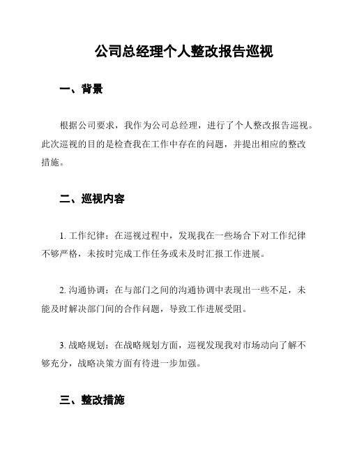 公司总经理个人整改报告巡视