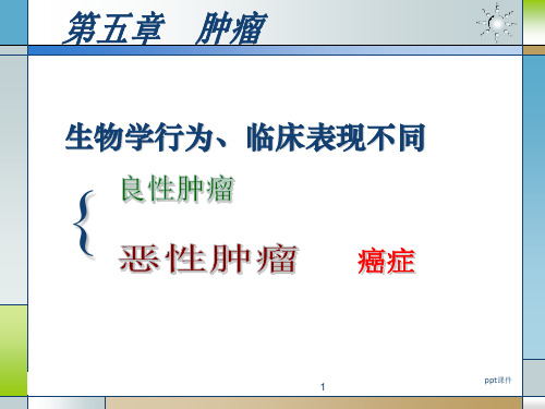 病理学肿瘤  ppt课件