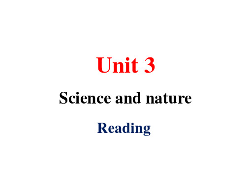 模块五三单元M5U3reading(1) the perfect copy