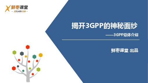 鲜枣课堂-3GPP介绍