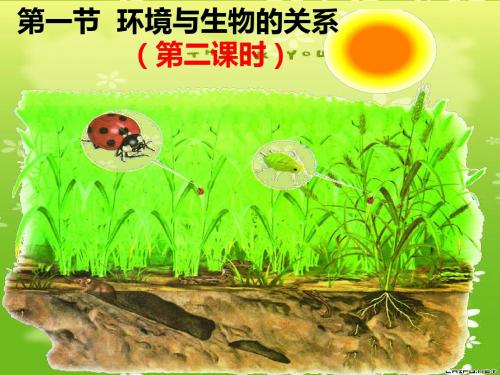 生物与环境的关系PPT课件9 冀教版