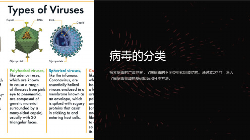 《病毒的分类》课件