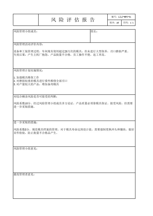 风险评估报告