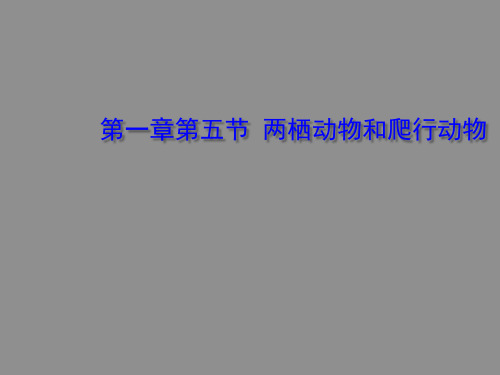 人教版八年级生物上册 .5 两栖动物和爬行动物(课件)18张