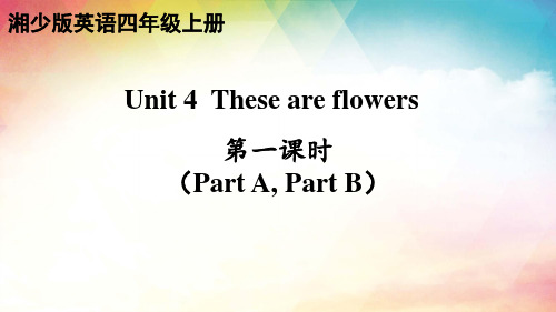 Unit4Theseareflowers(课件)湘少版英语四年级上册