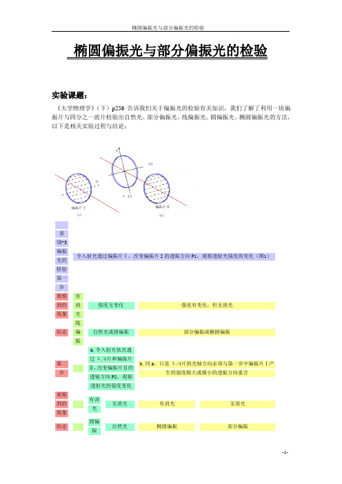 椭圆偏振光和部分偏振光的检验试验