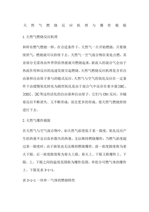 天然气燃烧反应机理与爆炸极限