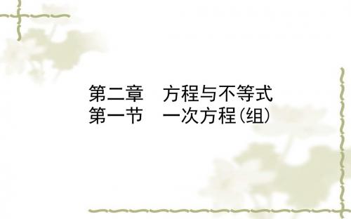 2018年中考数学一轮复习2.1一次方程(组)和随堂演练(德州市)精选优质PPT课件