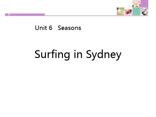 《Surfing in Sydney》Seasons (ppt)课件