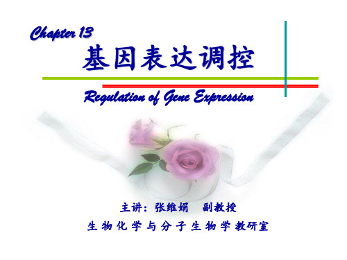 基因表达调控RegulationofGeneExpression应用分析PPT课件