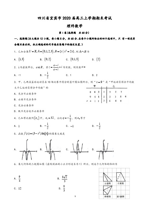 四川省宜宾市2020届高三上学期期末考试数学(理)试题(含答案)