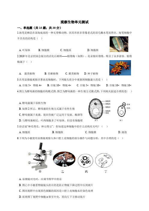 浙教版七年级上册 第2章观察生物 单元测试含答案