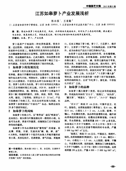 江苏如皋萝卜产业发展浅析