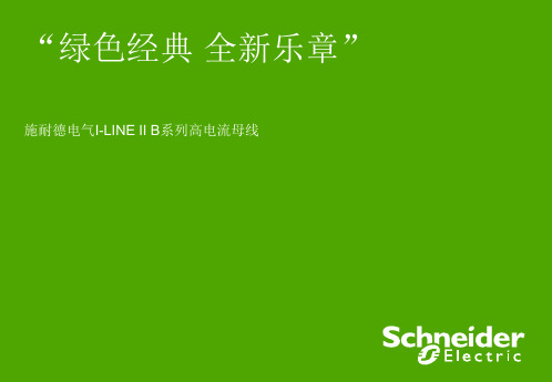 施耐德ILINE_B系列母线_(PPT)