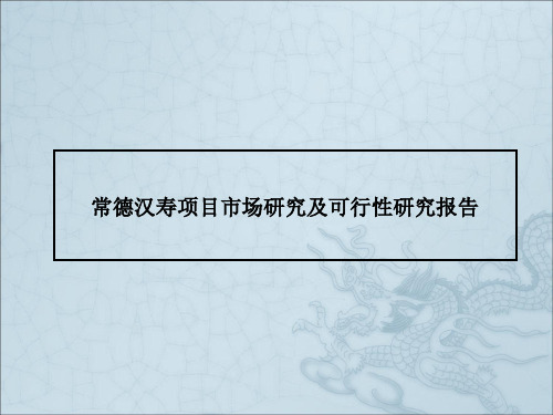 湖南常德汉寿项目市场研究及可行性研究报告_106页