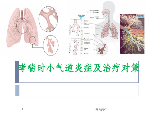 哮喘的小气道炎症科内稿