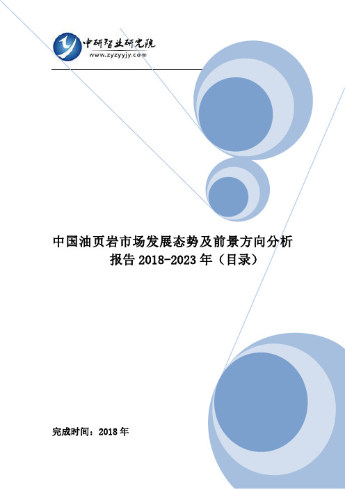 中国油页岩市场发展态势及前景方向分析报告2018-2023年