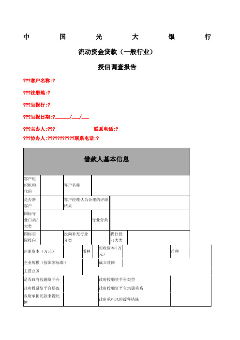 中国光大银行授信调查审查报告模版