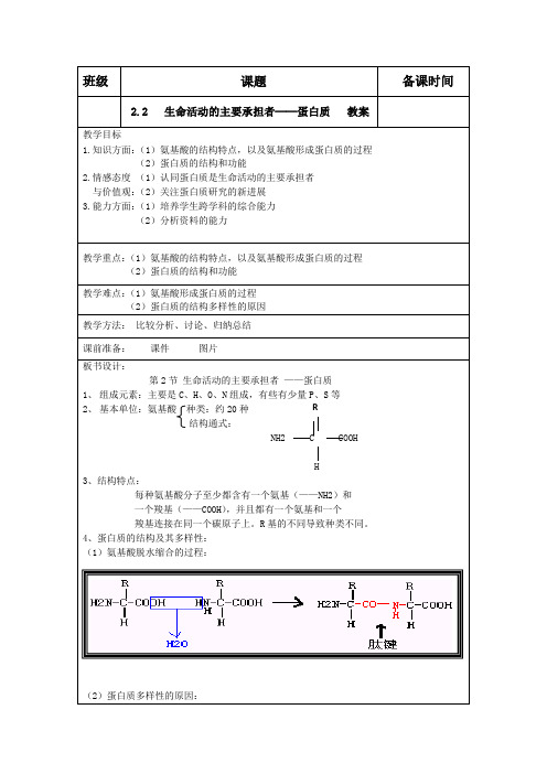 生物：2.2《生命活动的主要承担者──蛋白质》教案(新人教版必修1)河北地区专用