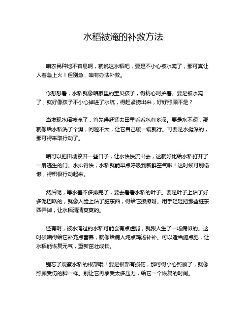 水稻被淹的补救方法