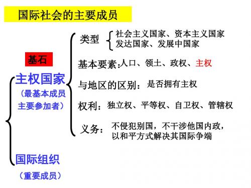 国际组织概观ppt课件