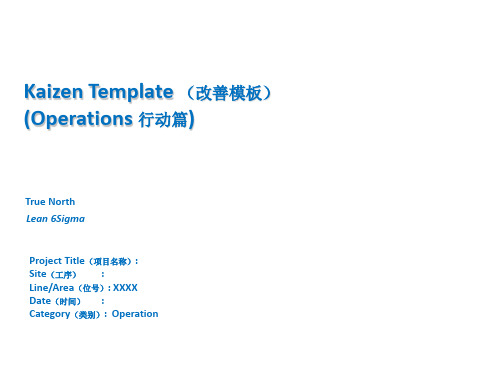 Lean Project Report-精益项目报告(模板)