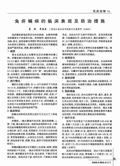 兔疥螨病的临床表现及防治措施