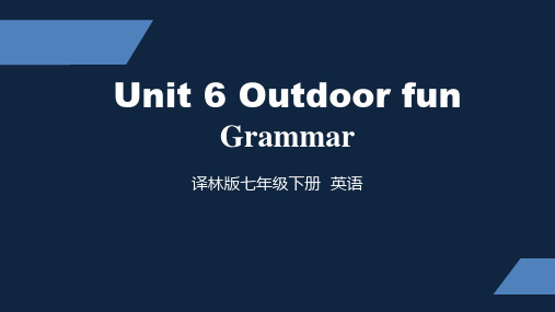 译林版 初中七年级下册 Unit 6 Grammar ppt课件