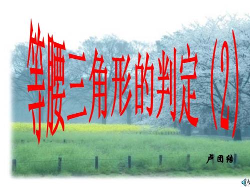 等腰三角形的判定(2)
