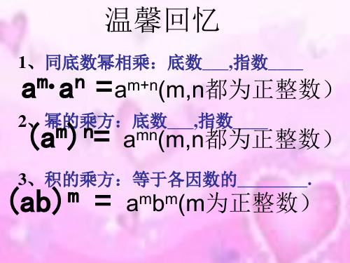 11.3单项式的乘法