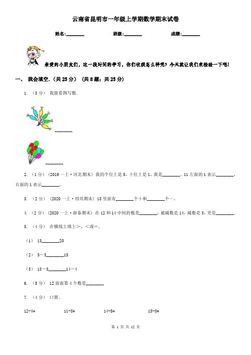 云南省昆明市一年级上学期数学期末试卷