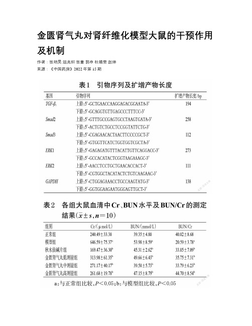 金匮肾气丸对肾纤维化模型大鼠的干预作用及机制