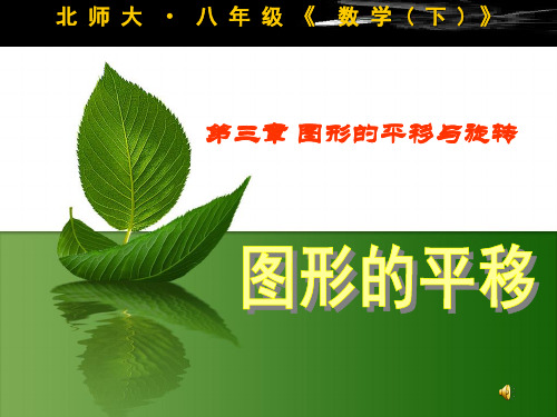 2014新北师大版八年级数学下册 3.1图形的平移.ppt