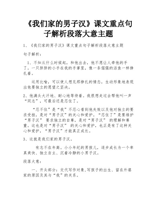 《我们家的男子汉》课文重点句子解析段落大意主题 