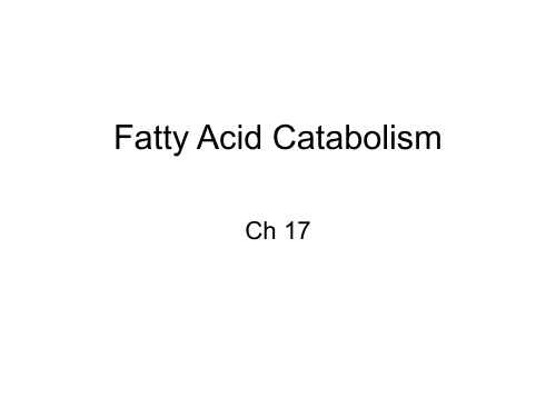 脂肪酸代谢英文课件-Fatty Acid Catabolism